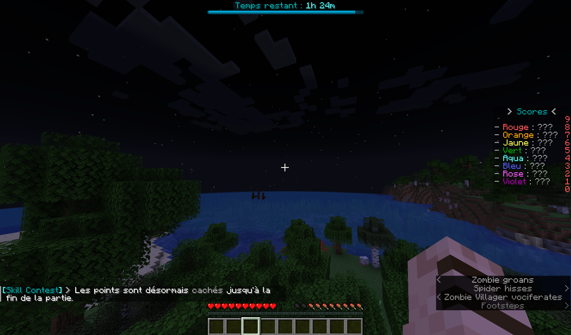 Plugins Minecraft : Capture 3