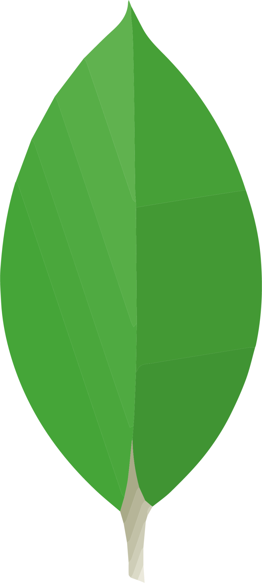 Logo MongoDB